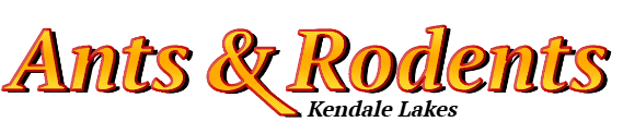 Kendale Lakes Ant Exterminator & Rodent Control Company Logo